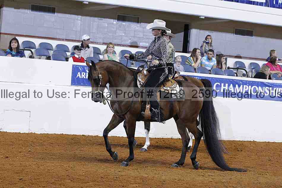 Proof 12r9_2590