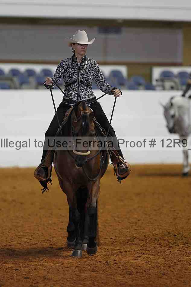 Proof 12r9_2591
