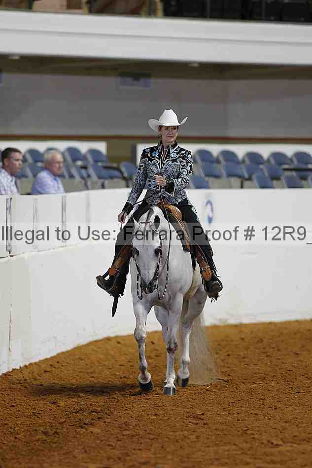 Proof 12r9_2593