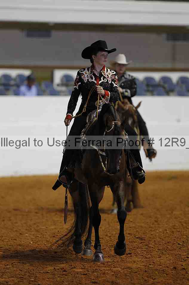 Proof 12r9_2597