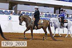 12r9_2600 proof