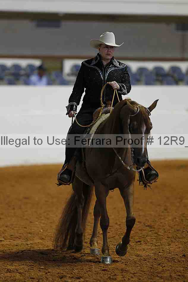 Proof 12r9_2603