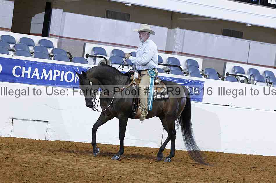 Proof 12r9_2616