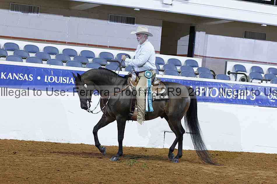 Proof 12r9_2617