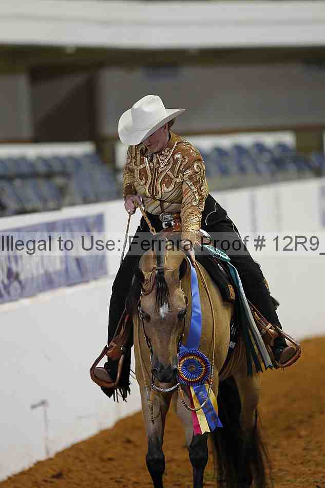 Proof 12r9_2618