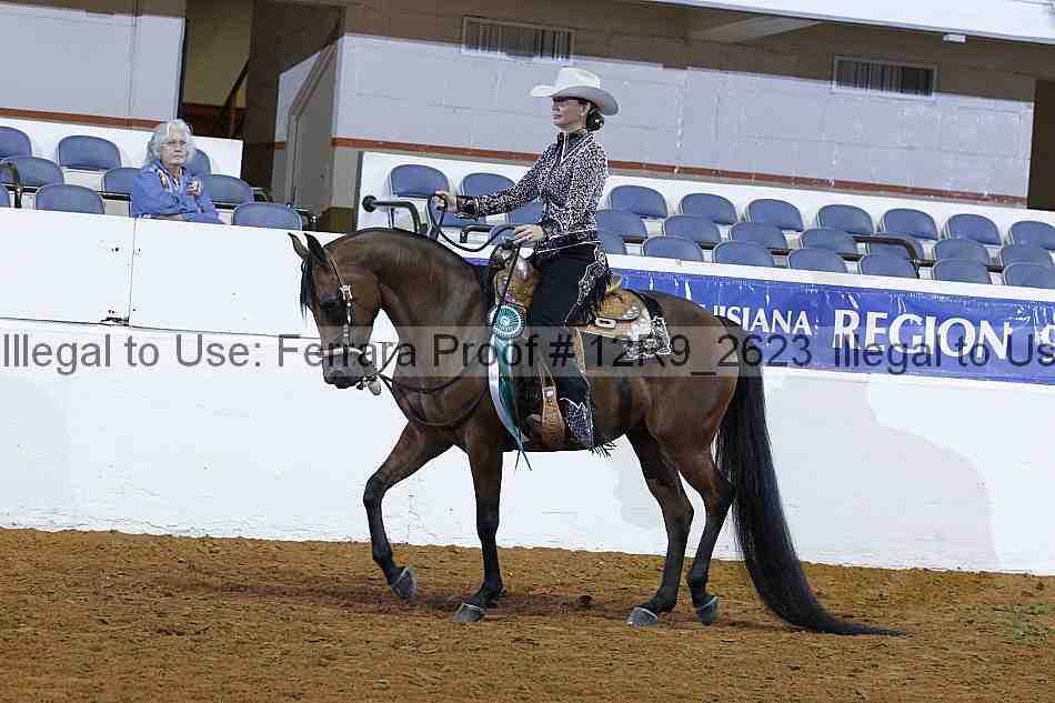 Proof 12r9_2623