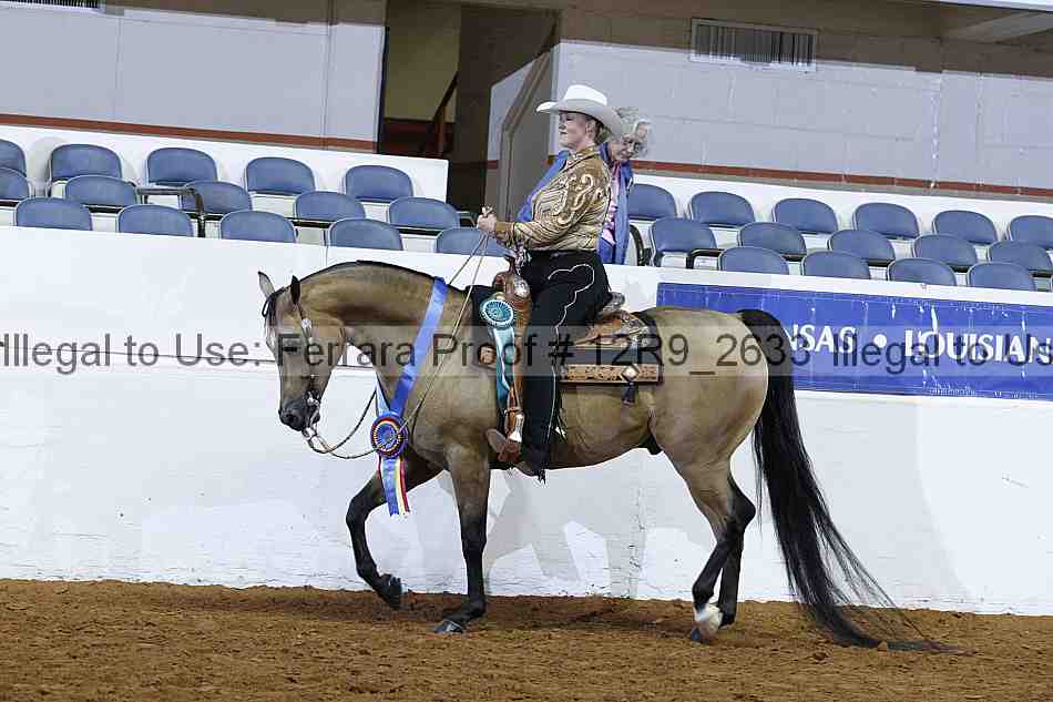 Proof 12r9_2633