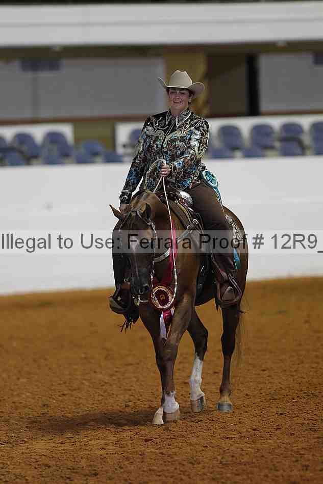 Proof 12r9_2636