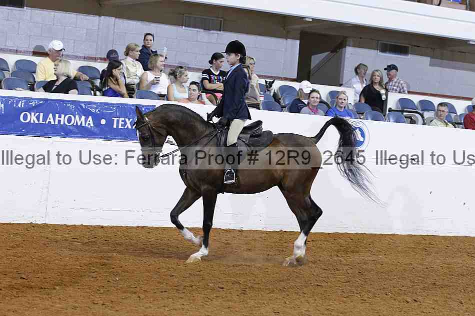 Proof 12r9_2645