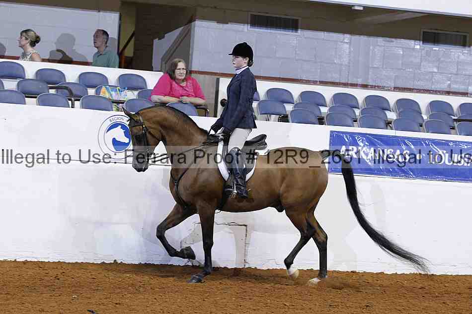 Proof 12r9_2651