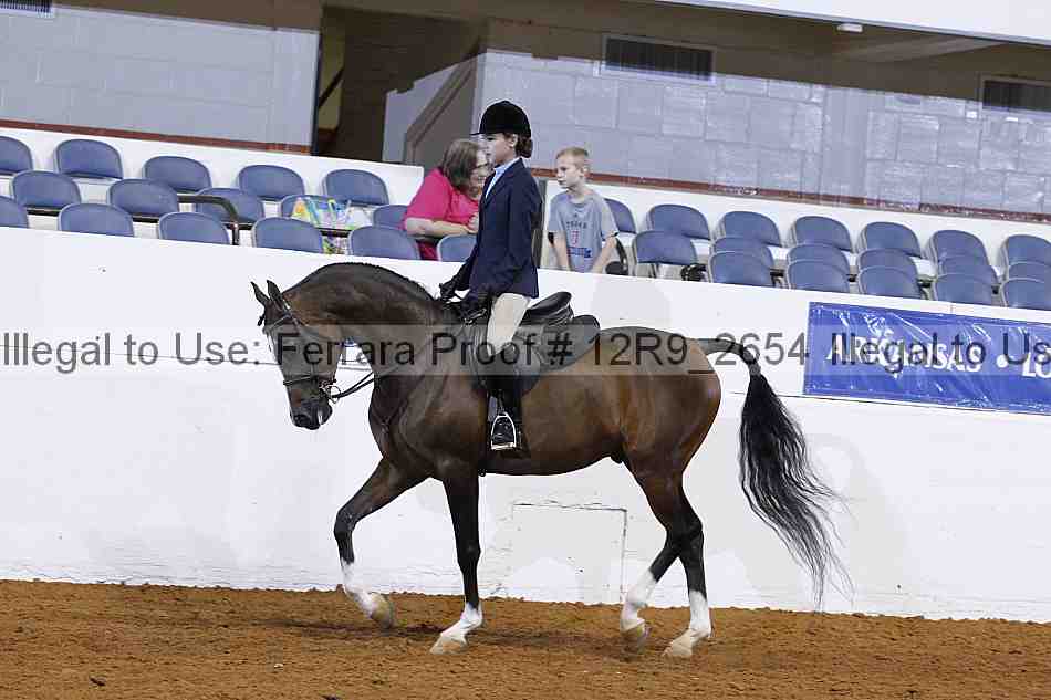 Proof 12r9_2654