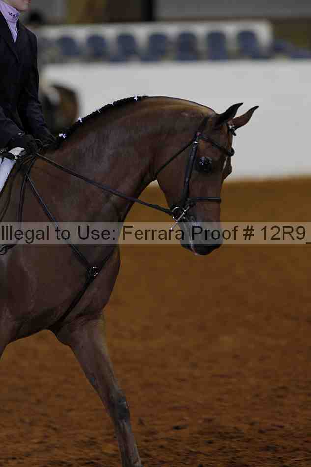 Proof 12r9_2655