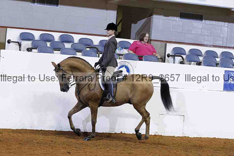 Proof 12r9_2657