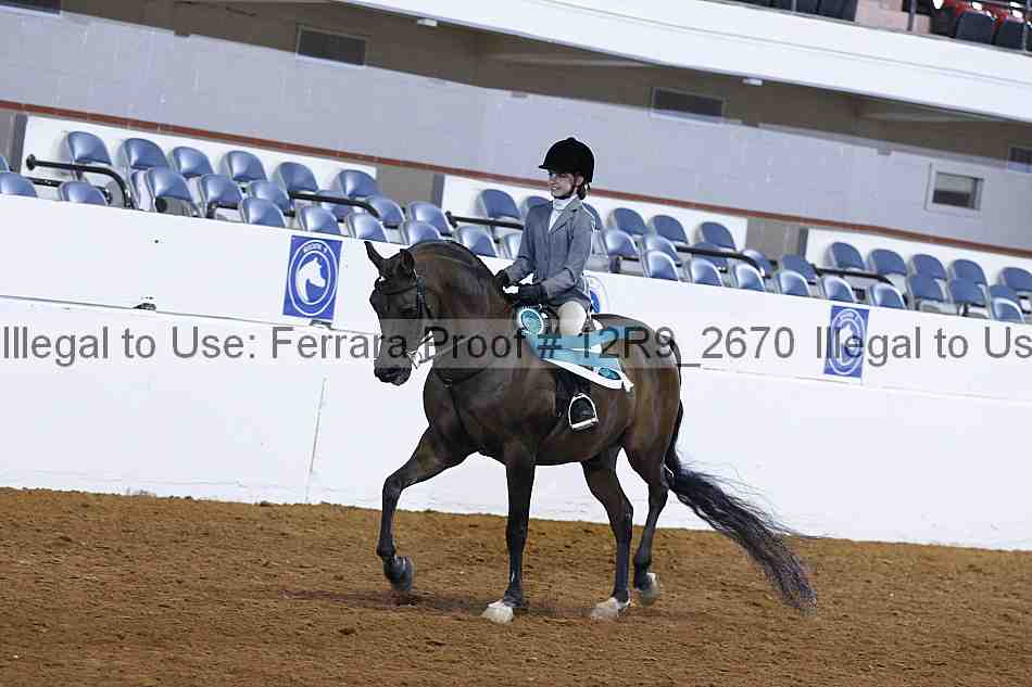 Proof 12r9_2670