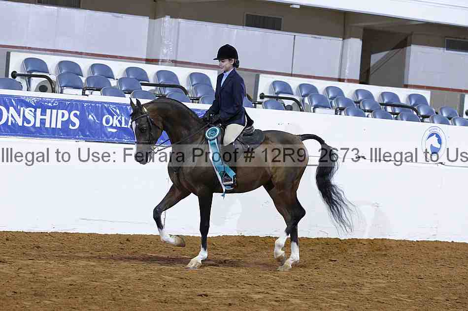 Proof 12r9_2673