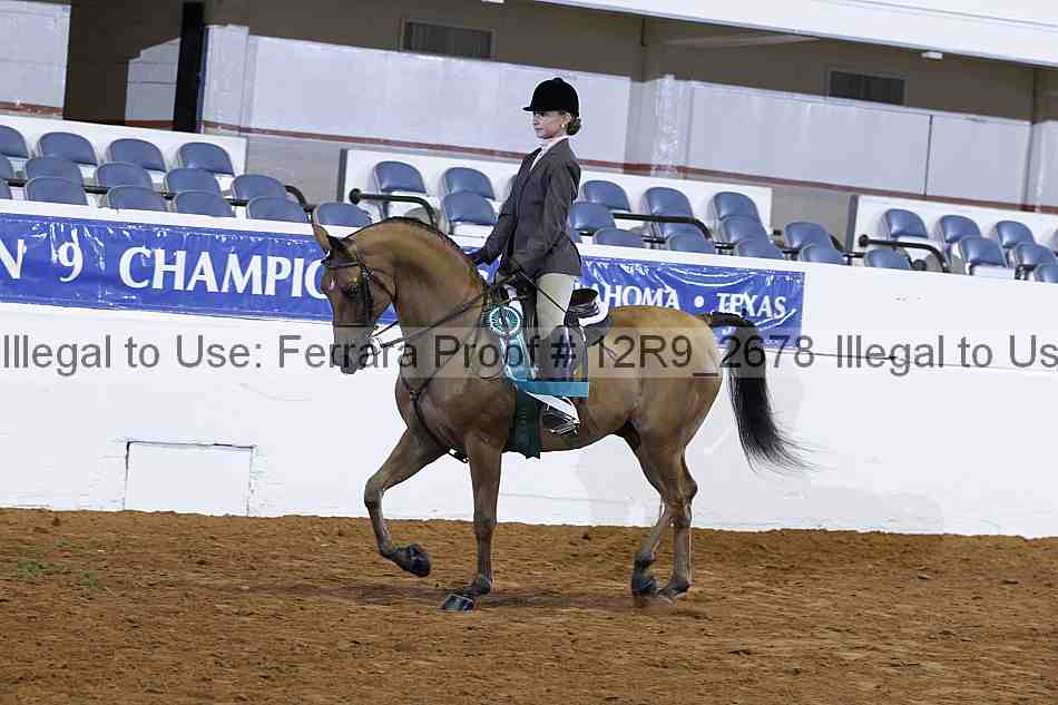 Proof 12r9_2678
