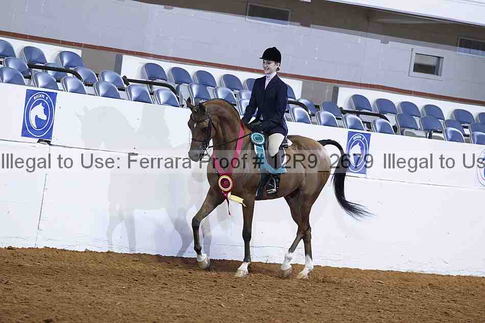Proof 12r9_2679