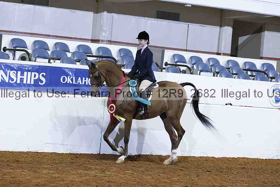 Proof 12r9_2682