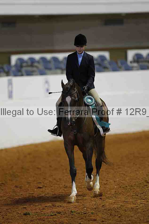 Proof 12r9_2685