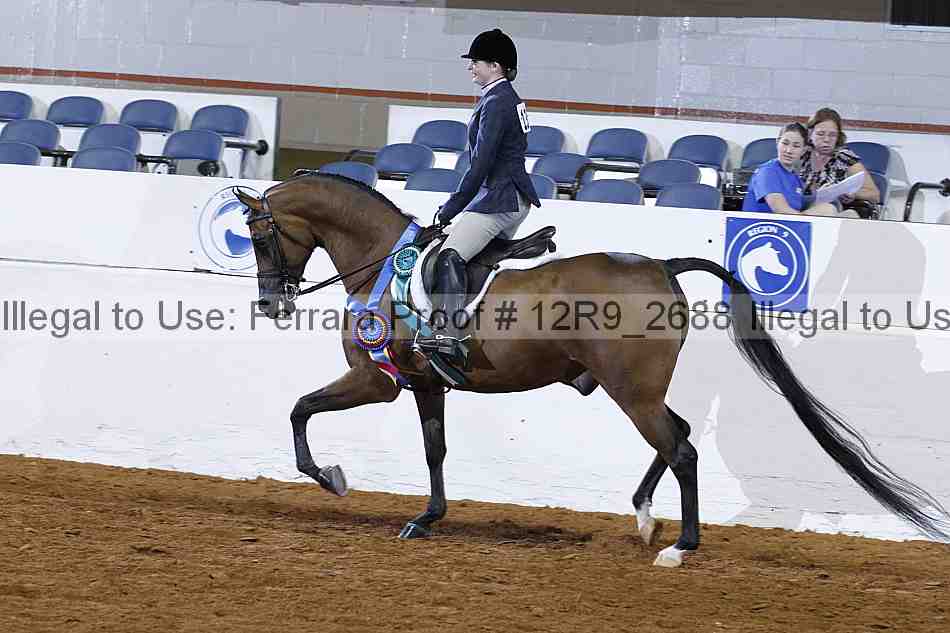 Proof 12r9_2688