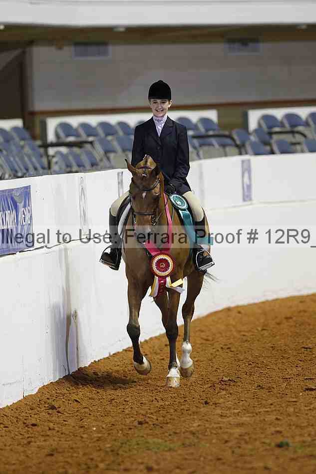 Proof 12r9_2689