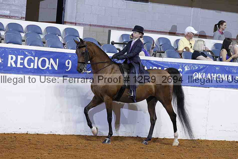 Proof 12r9_2694