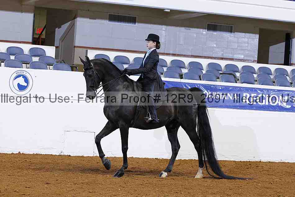 Proof 12r9_2697