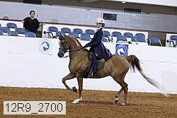 12r9_2700 proof