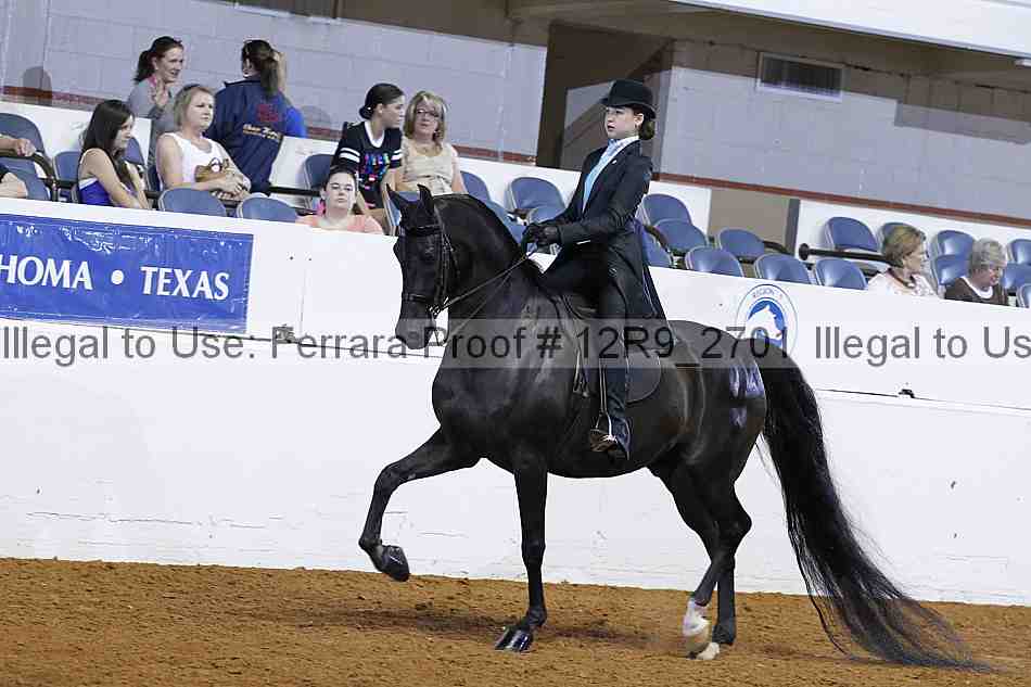 Proof 12r9_2701