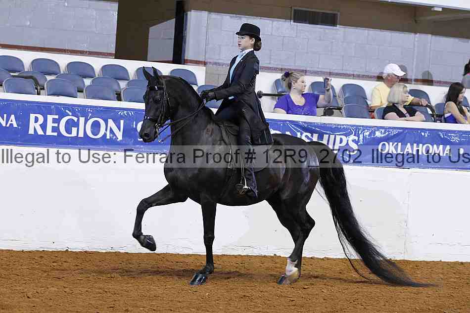 Proof 12r9_2702