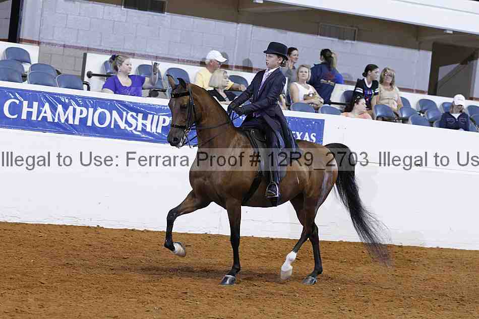 Proof 12r9_2703