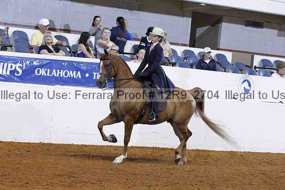 Proof 12r9_2704