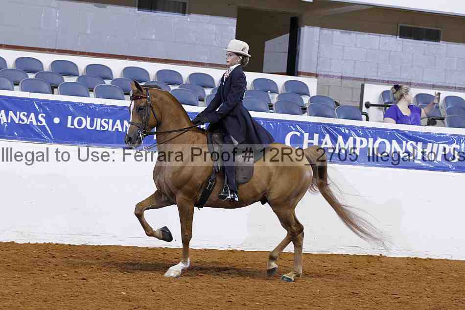 Proof 12r9_2705
