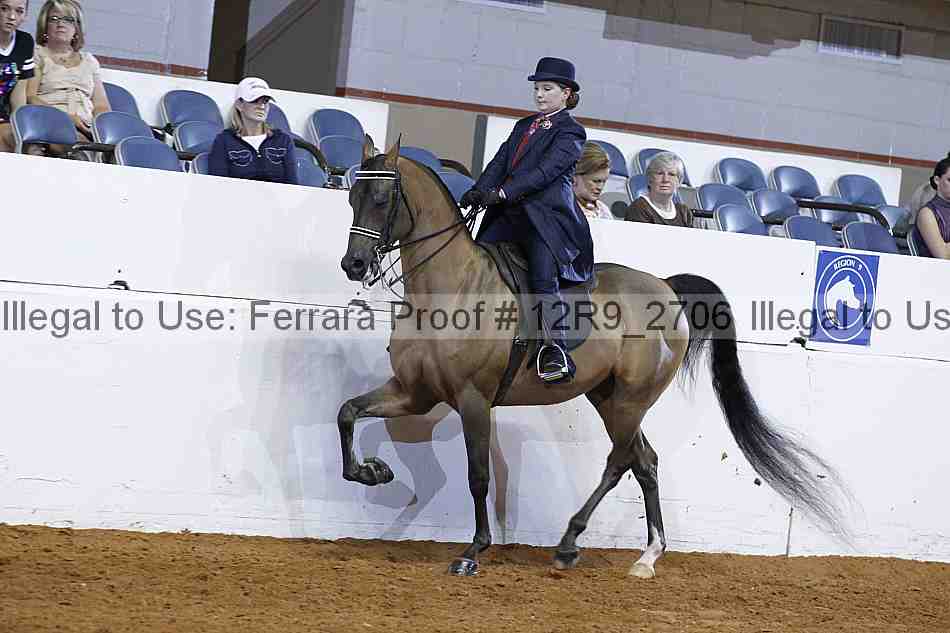 Proof 12r9_2706