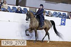 12r9_2706 proof