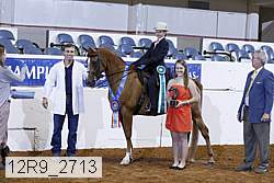 12r9_2713 proof
