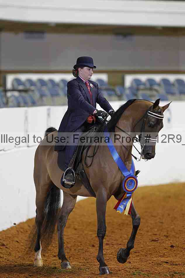 Proof 12r9_2729