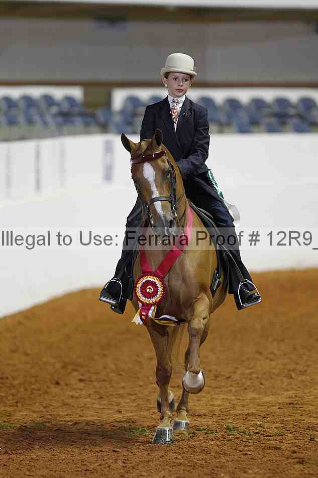 Proof 12r9_2732