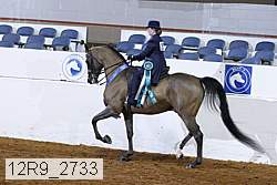 12r9_2733 proof