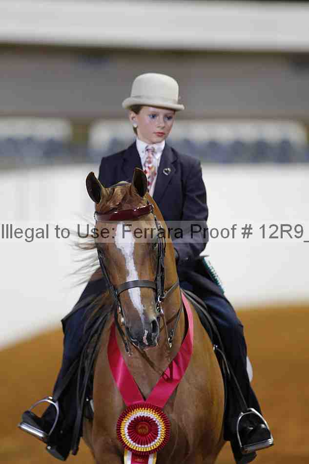 Proof 12r9_2734