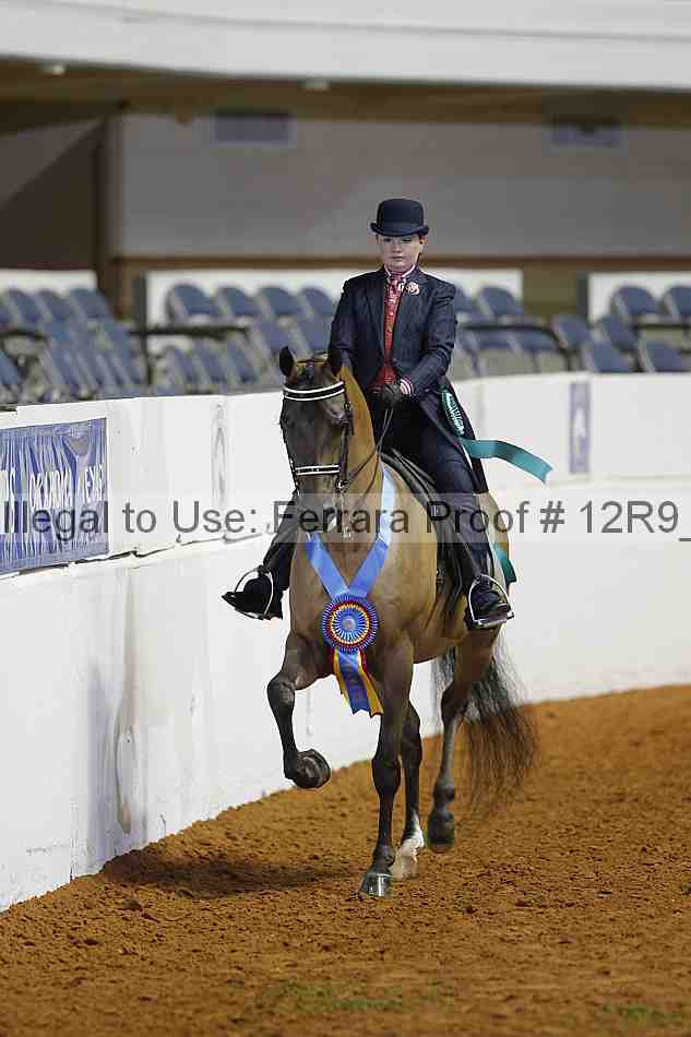 Proof 12r9_2736