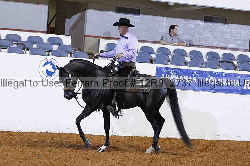 Proof 12r9_2737