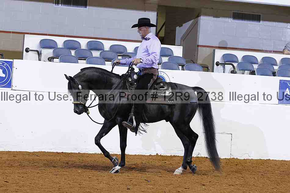 Proof 12r9_2738
