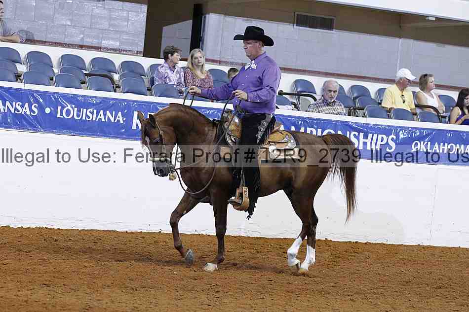 Proof 12r9_2739