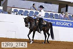 12r9_2742 proof
