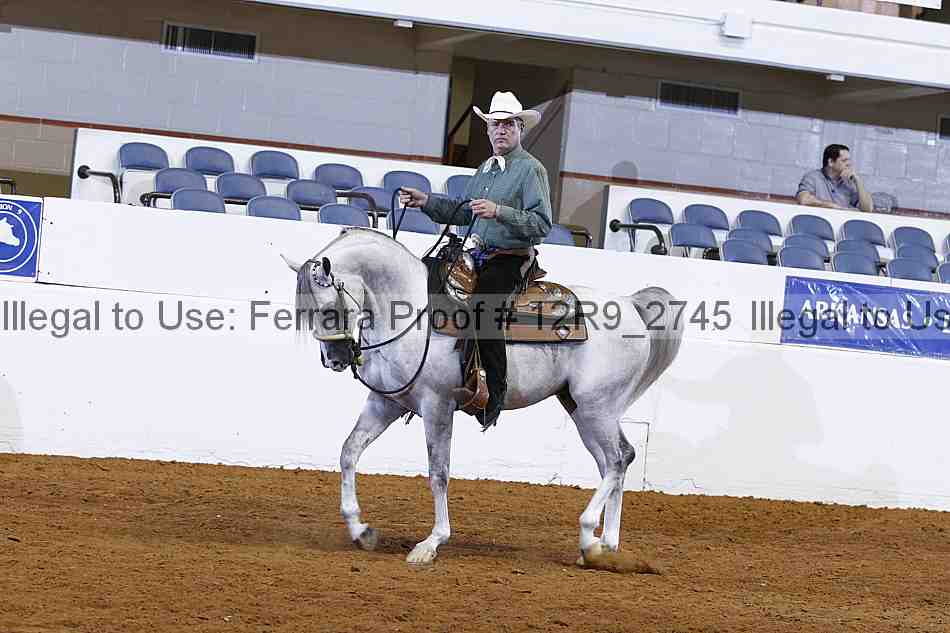 Proof 12r9_2745