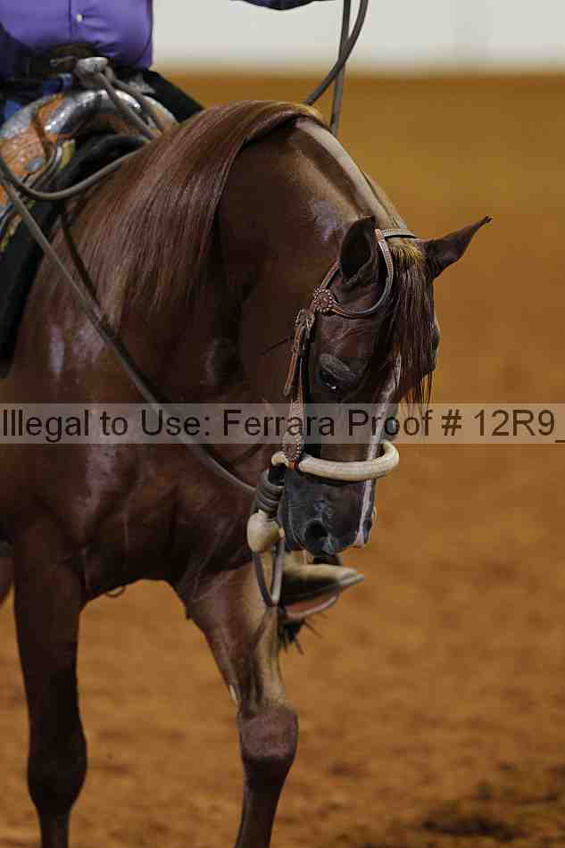 Proof 12r9_2751