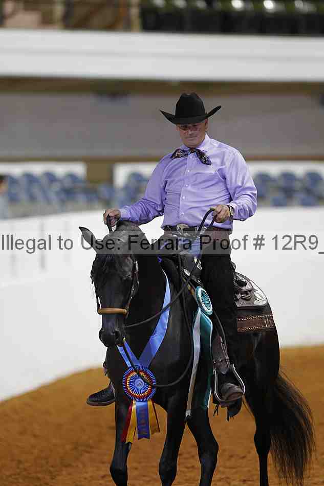 Proof 12r9_2760