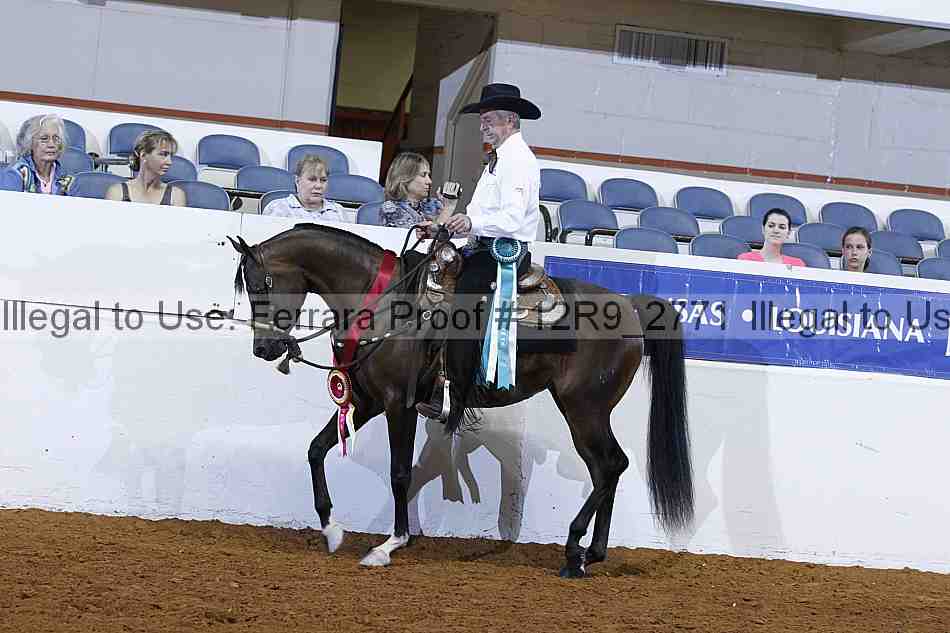 Proof 12r9_2771