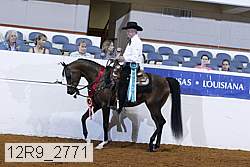 12r9_2771 proof